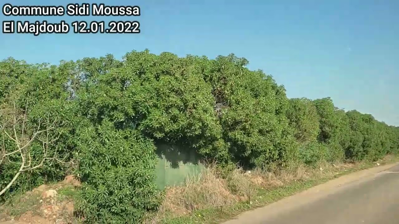 Commune de sidi Moussa El Majdoub 12 01 2022 - جماعة سيدي موسى المجدوب