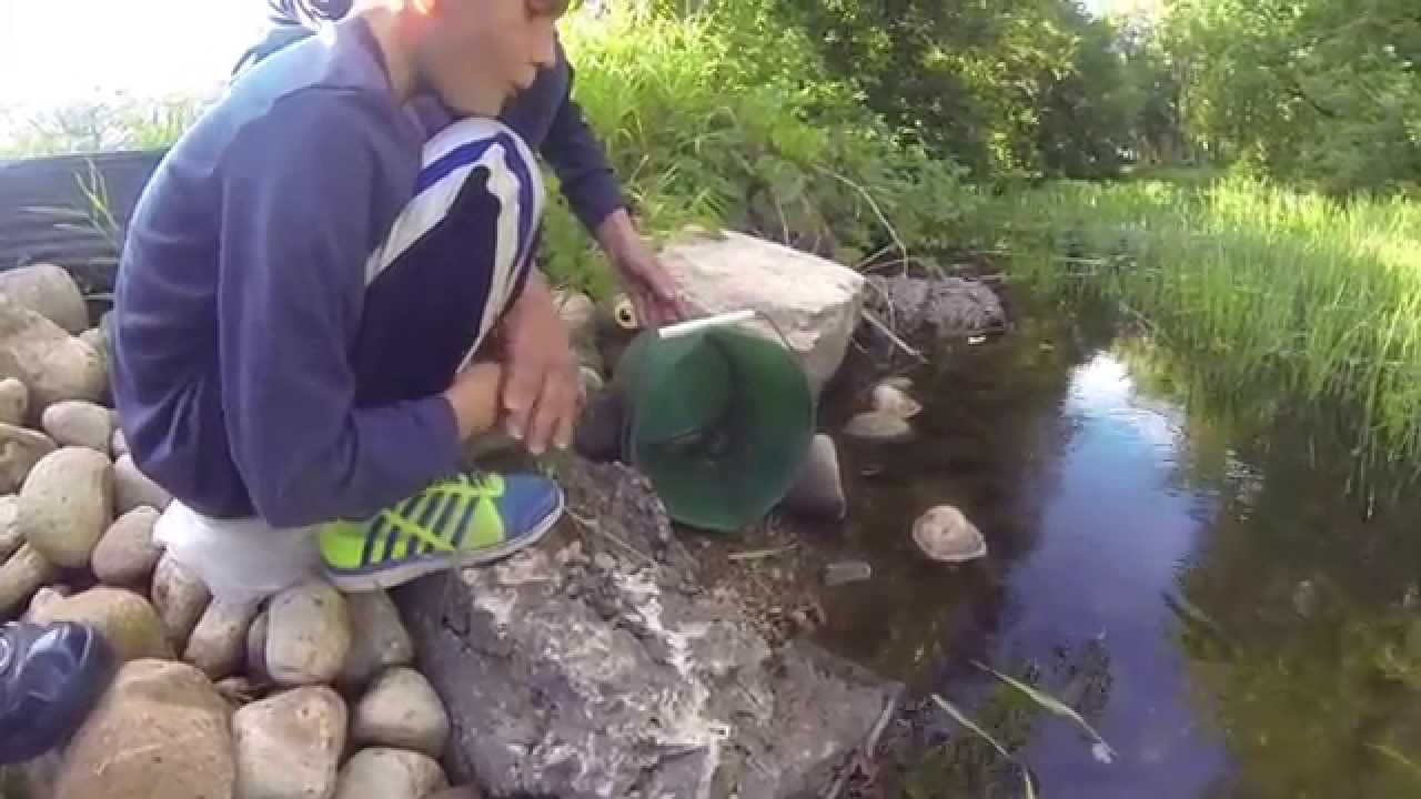 Frogs with GF 2014
