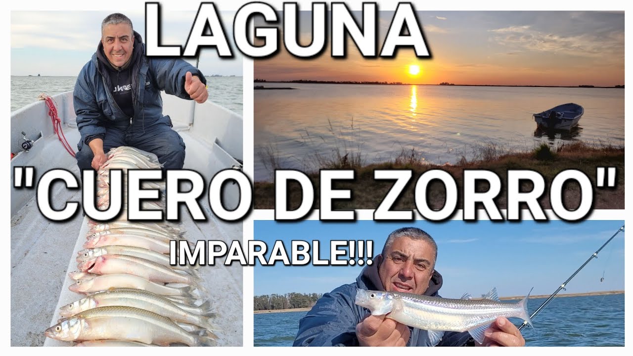 IMPARABLE!! 
