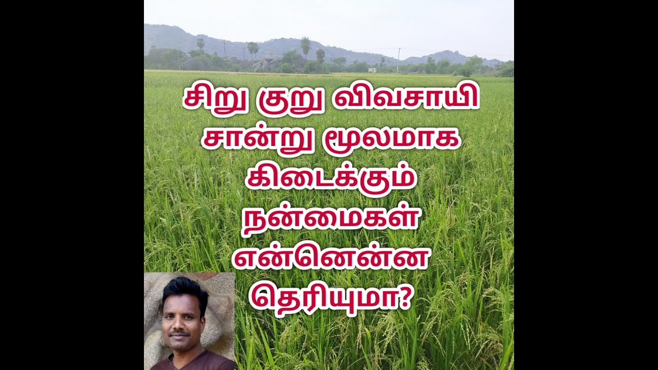 சிறு குறு விவசாயி சான்று மூலமாக கிடைக்கும் நன்மைகள் என்னென்ன தெரியுமா