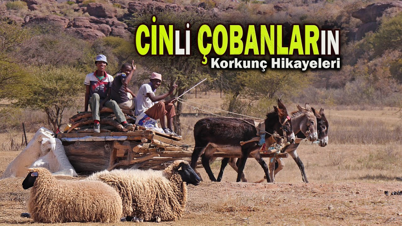 Geceleri Dağda Hayvan Güden Çobanların Başına Gelen Cinli Olaylar | Korku Hikayeleri | Cin Hikayesi