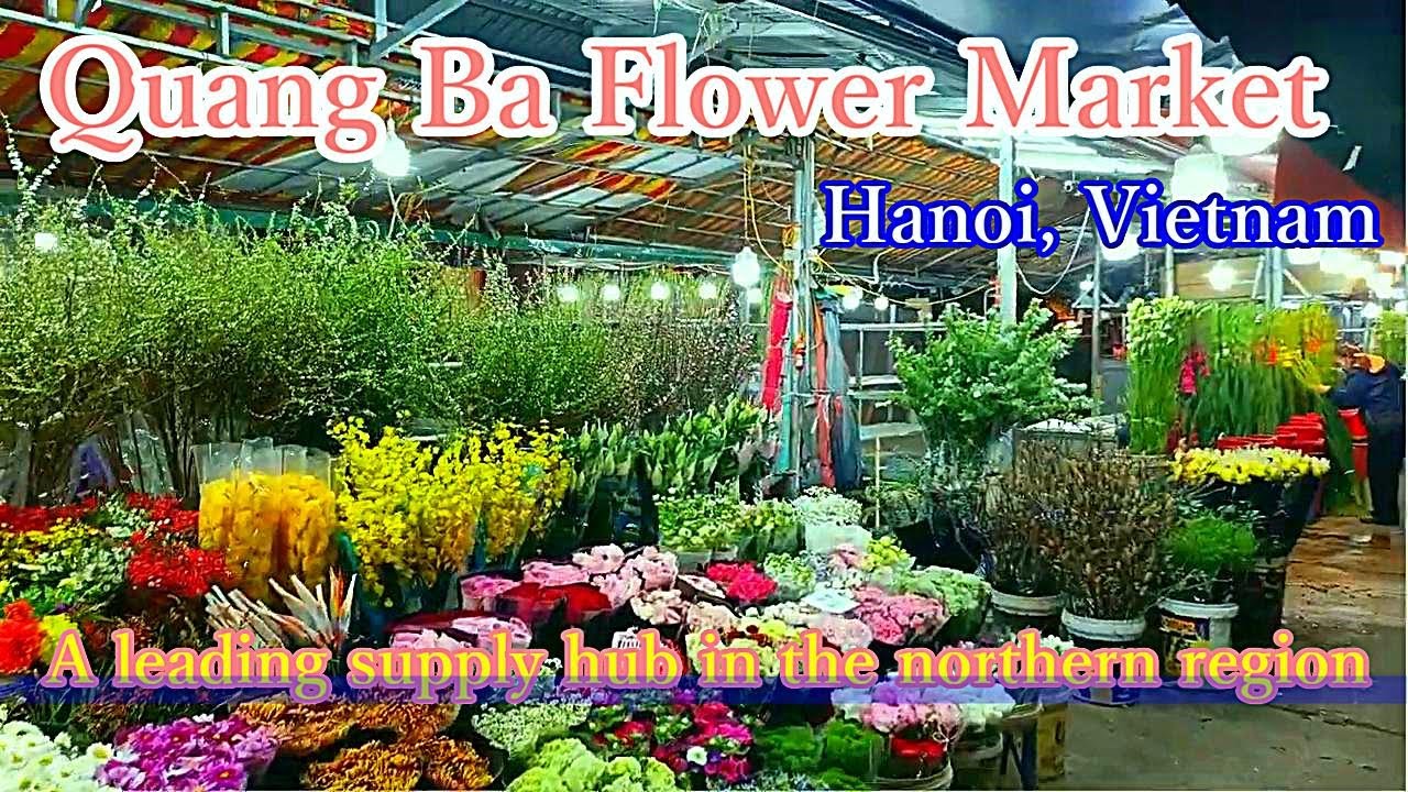 QUANG BA FLOWER MARKET, HANOI, VIETNAM, Chợ hoa Quảng Bá