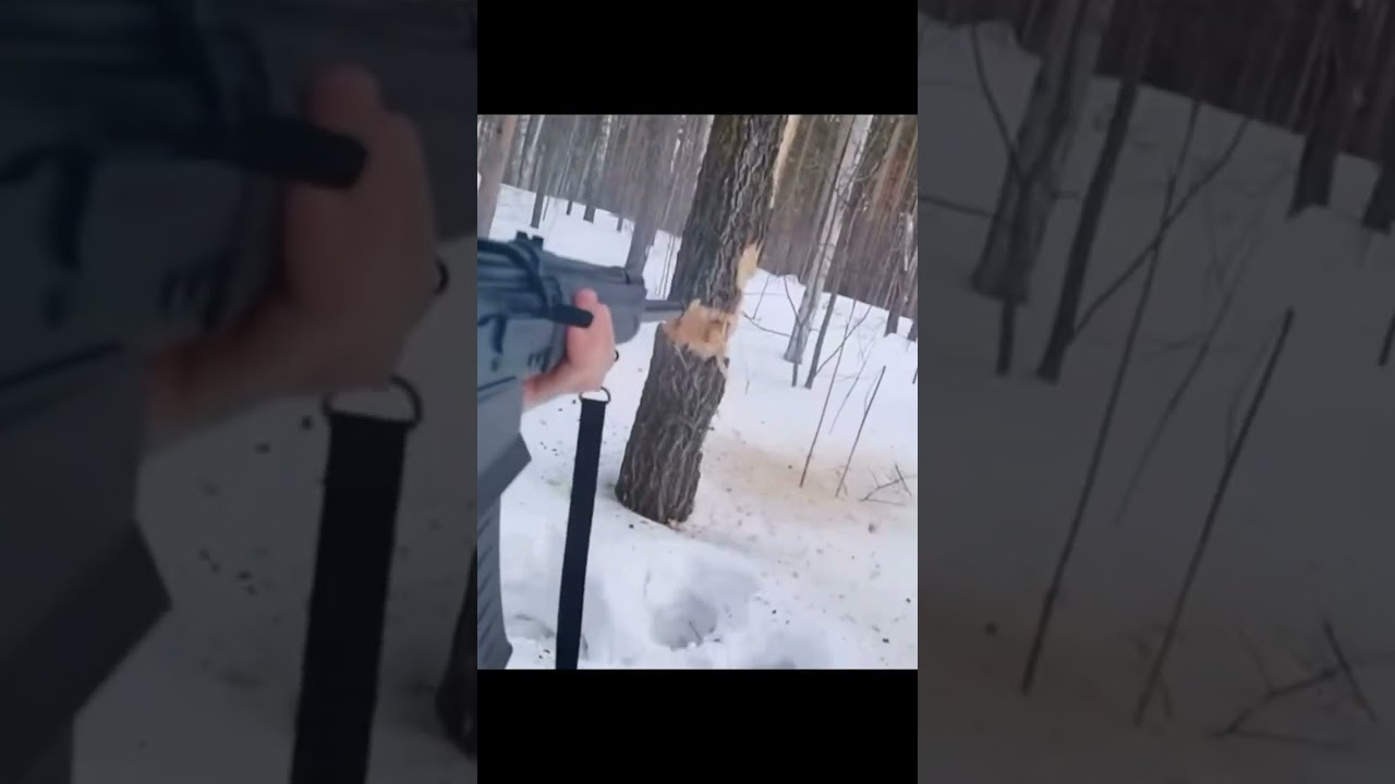 Shooting down tree with SHOTGUN   #viralvideo #trending #entertainment