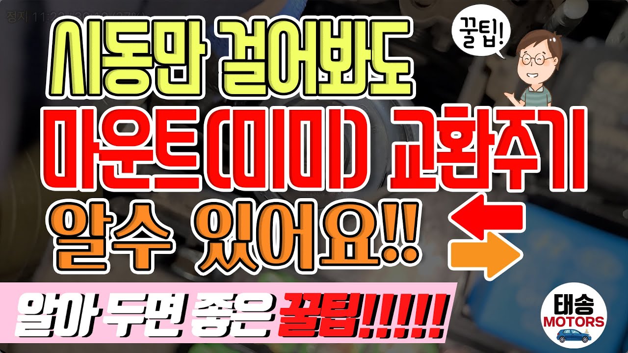 #시동만 걸어봐도 마운트(미미) 교환주기 알수 있어요‼️