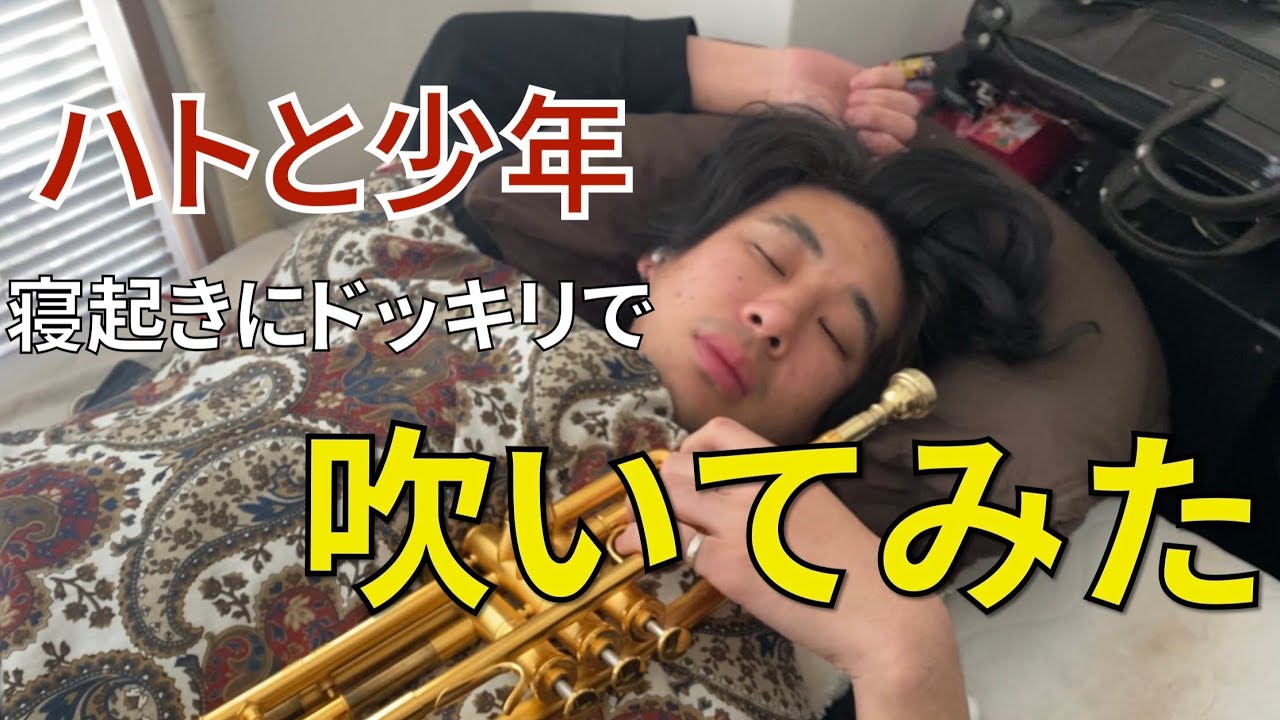 【ハトと少年】プロトランペッターが寝起きに全力で演奏してみた！