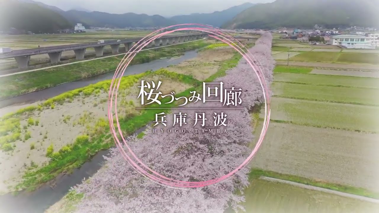 丹波桜づつみ回廊PR動画空撮映像