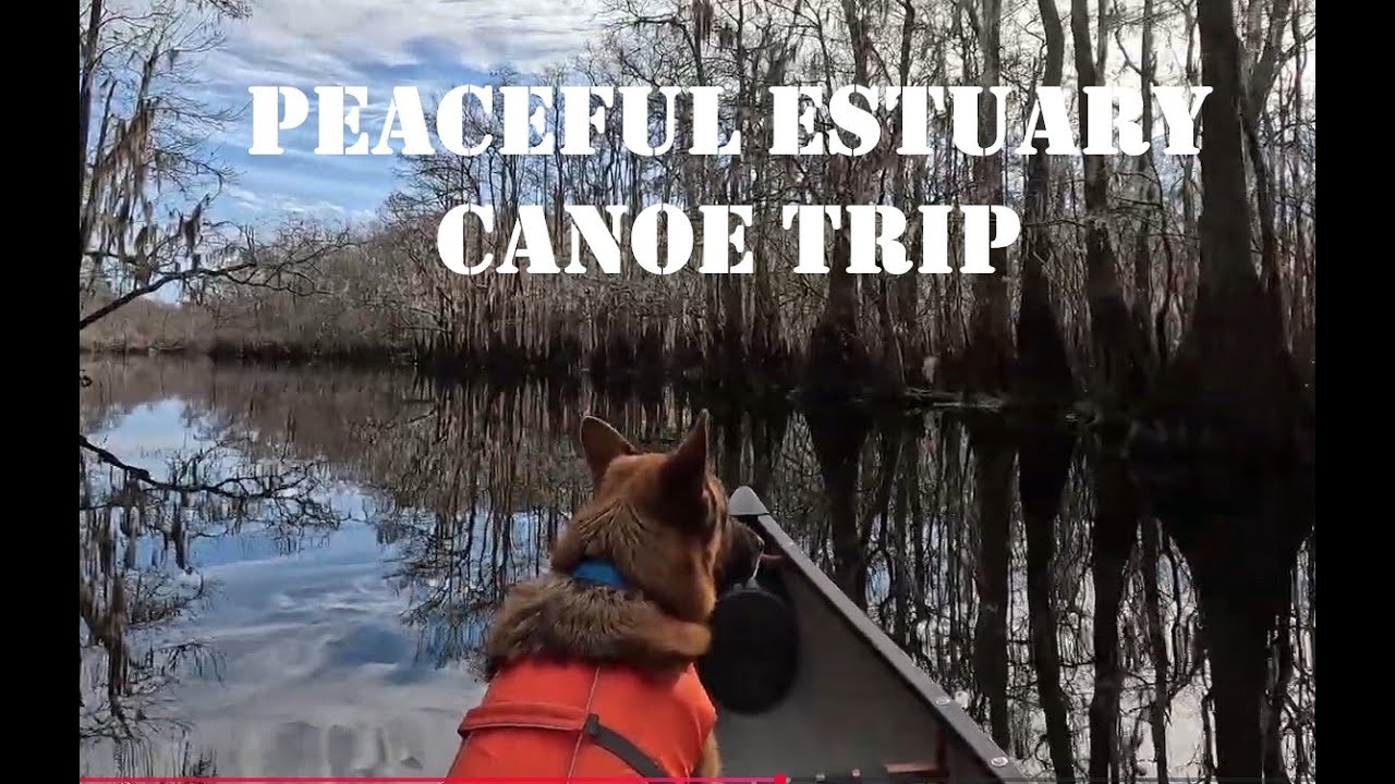 Canoe, German Shepherd, Little Pee Dee 20260117 0930: A peaceful estuary canoe trip, minimal dialog