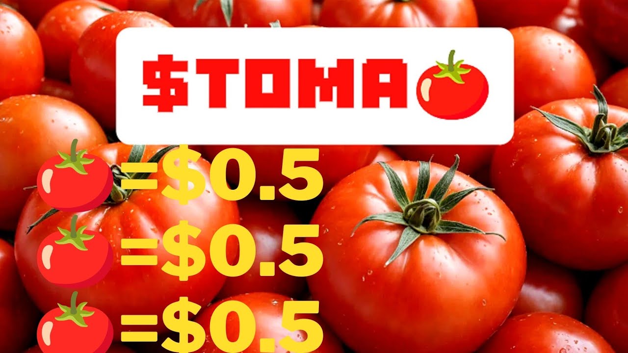Tomatoes 🍅 Listing Price Prediction | Binance Listing | TOMAKET Listing Date | Tomarket Token