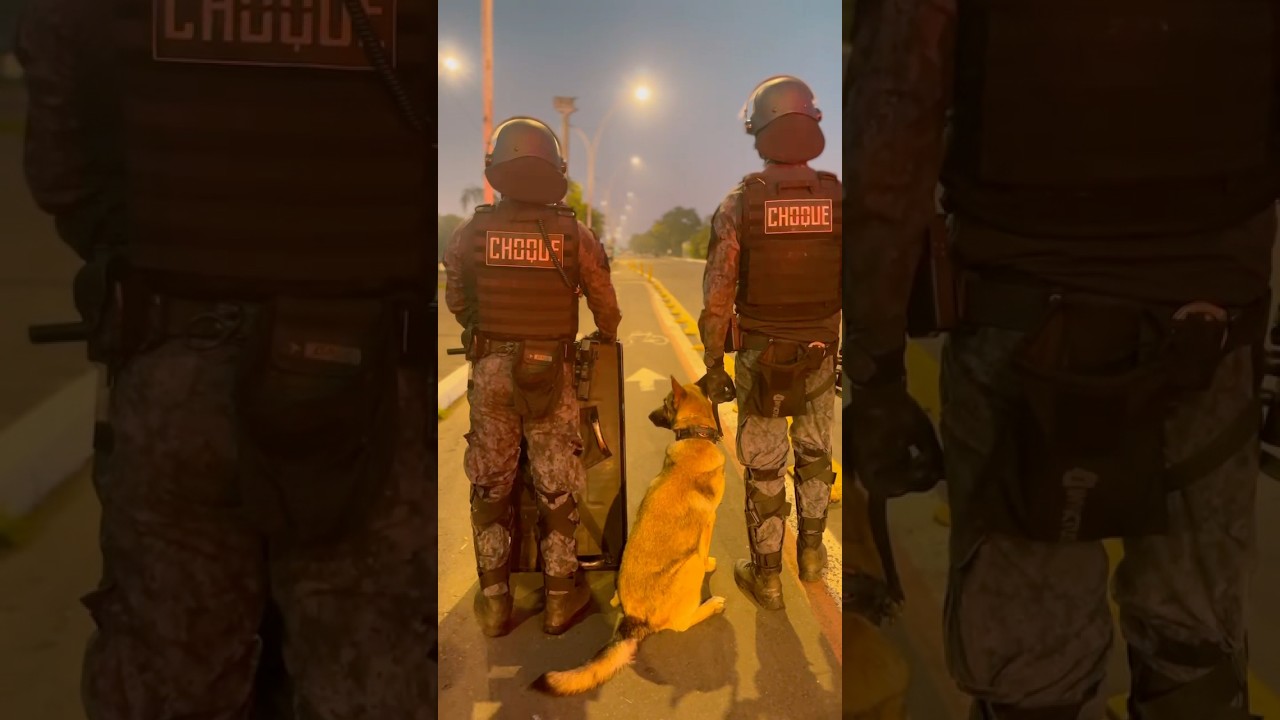 1&ordm;BPChq - Ano Novo 2025 Porto Alegre #bmrs #policia #k9 #pmrs #canil #choque
