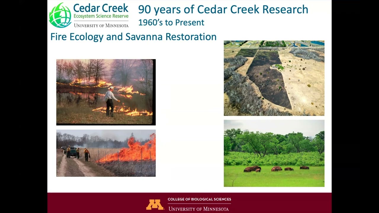 Cedar Creek Research by Eric Seabloom
