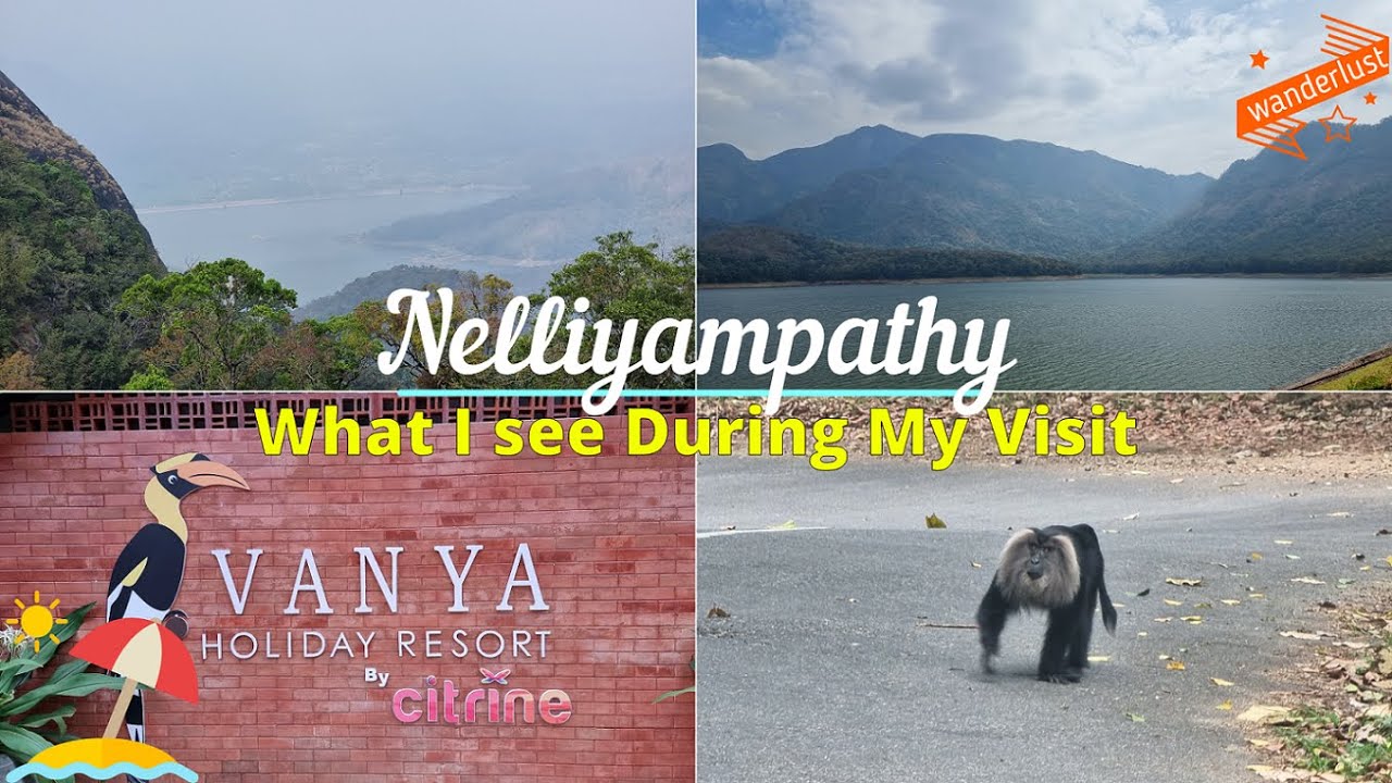 Nelliyampathy What I See during my visit | Pothundi Dam | Seetharkund View Point | Kesavan Para | 4K