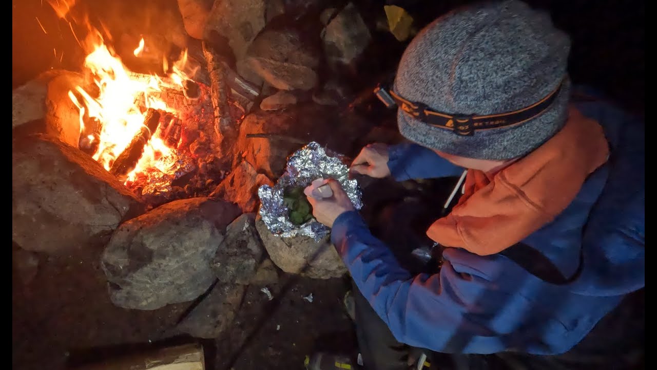 Tin Foil Campfire Steak Dinner - Car Camping