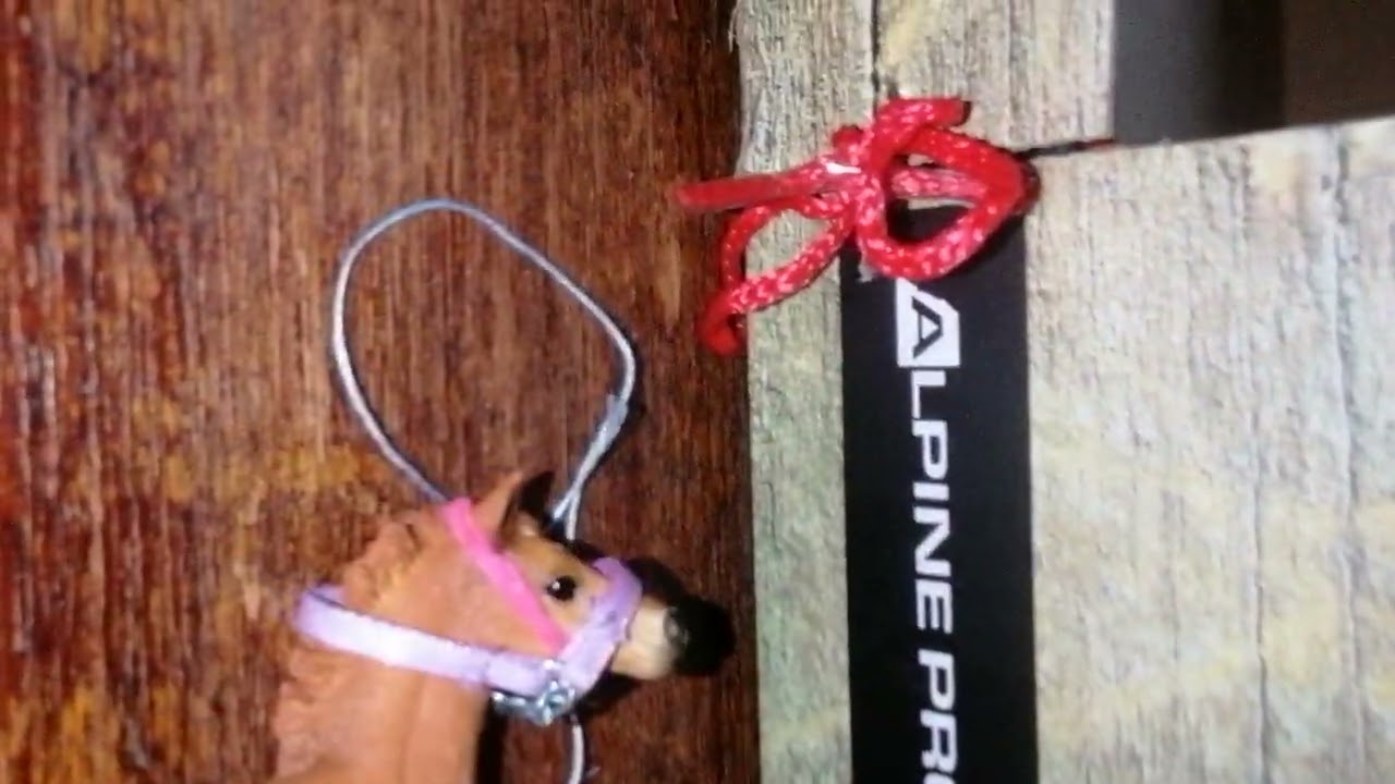 co si asi myslí koně 1