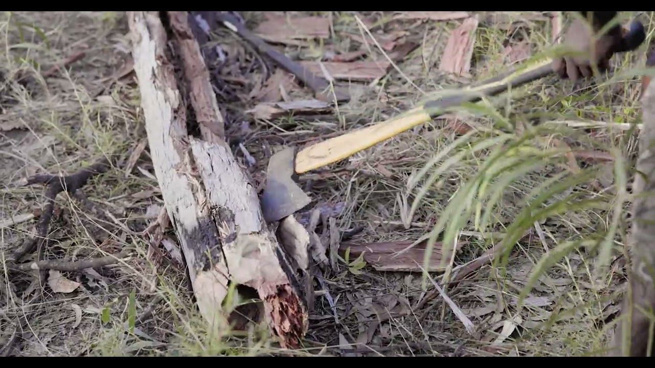 GROOTE EYLANDT | Searching for Sugarbag | Yilyakwa