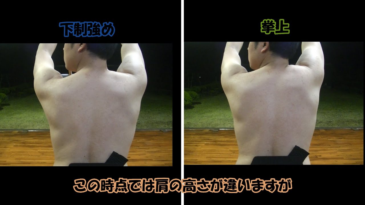 打ち起こし・引き分けで使う筋肉と肩甲骨について考察してみました。