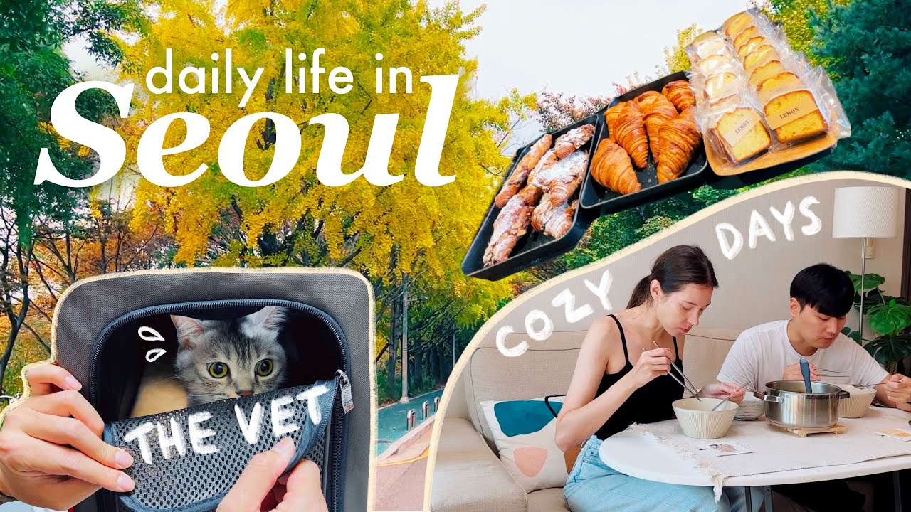 Fall in Seoul 🍂 Our cat's health update, plant market, cozy days at home together | Korea VLOG
