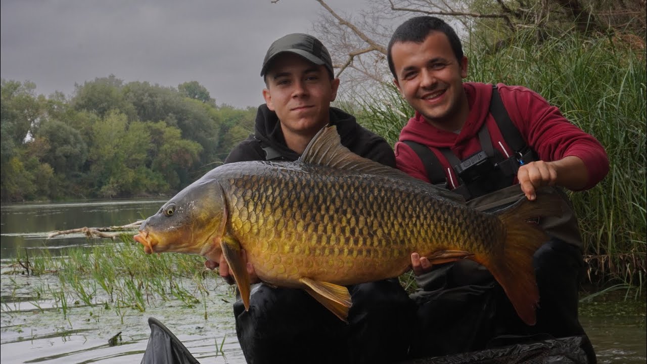 Pt 1- CARPA PARTE el HILO y VUELVE A PICAR. CARPFISHING EBRO