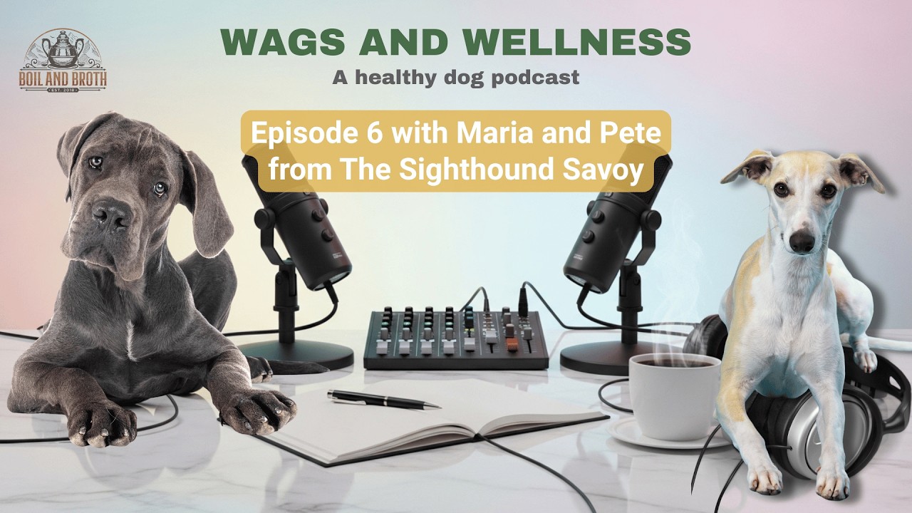 Wags & Wellness with Maria and Pete from Sighthound Savoy