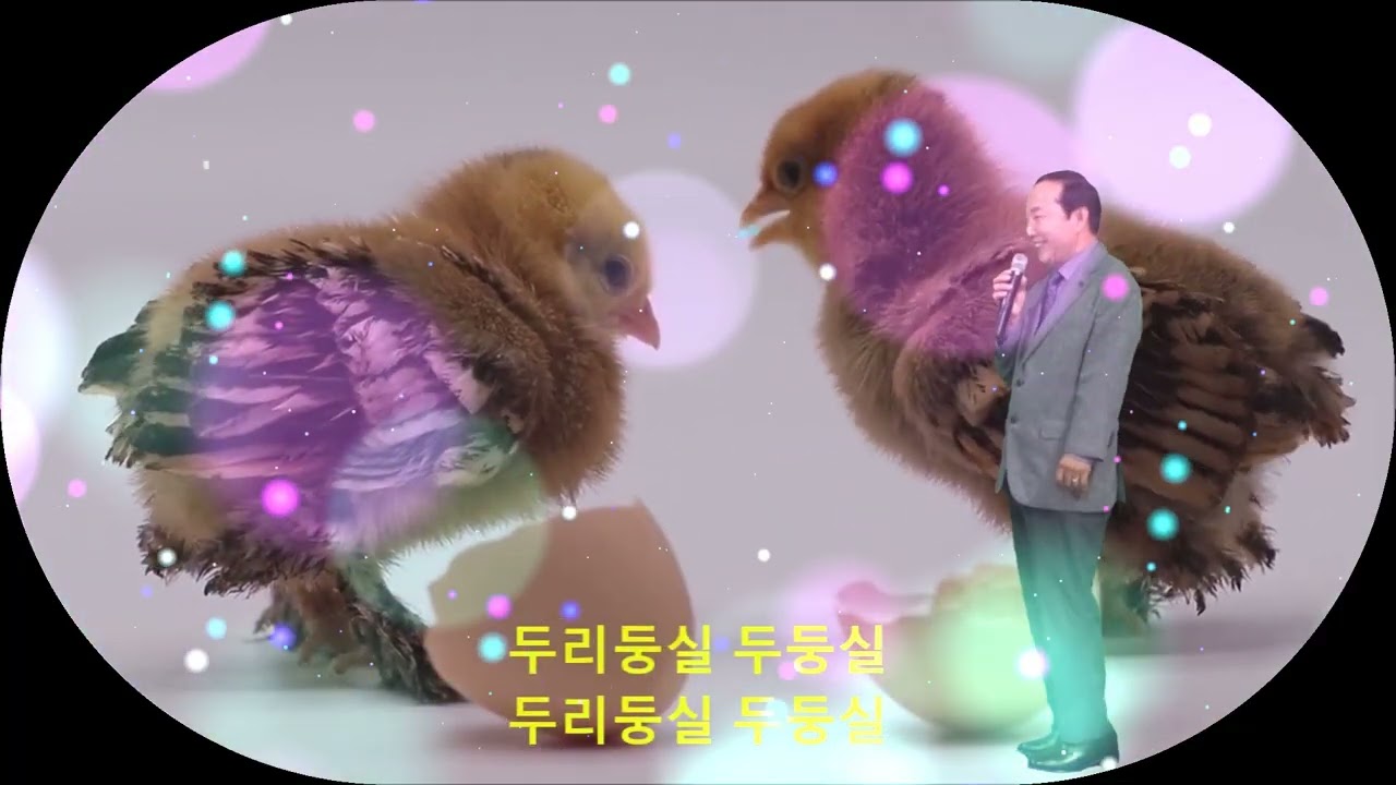 #김홍재 #인생아리랑 작사 작곡 김기승 2026.02.16.
