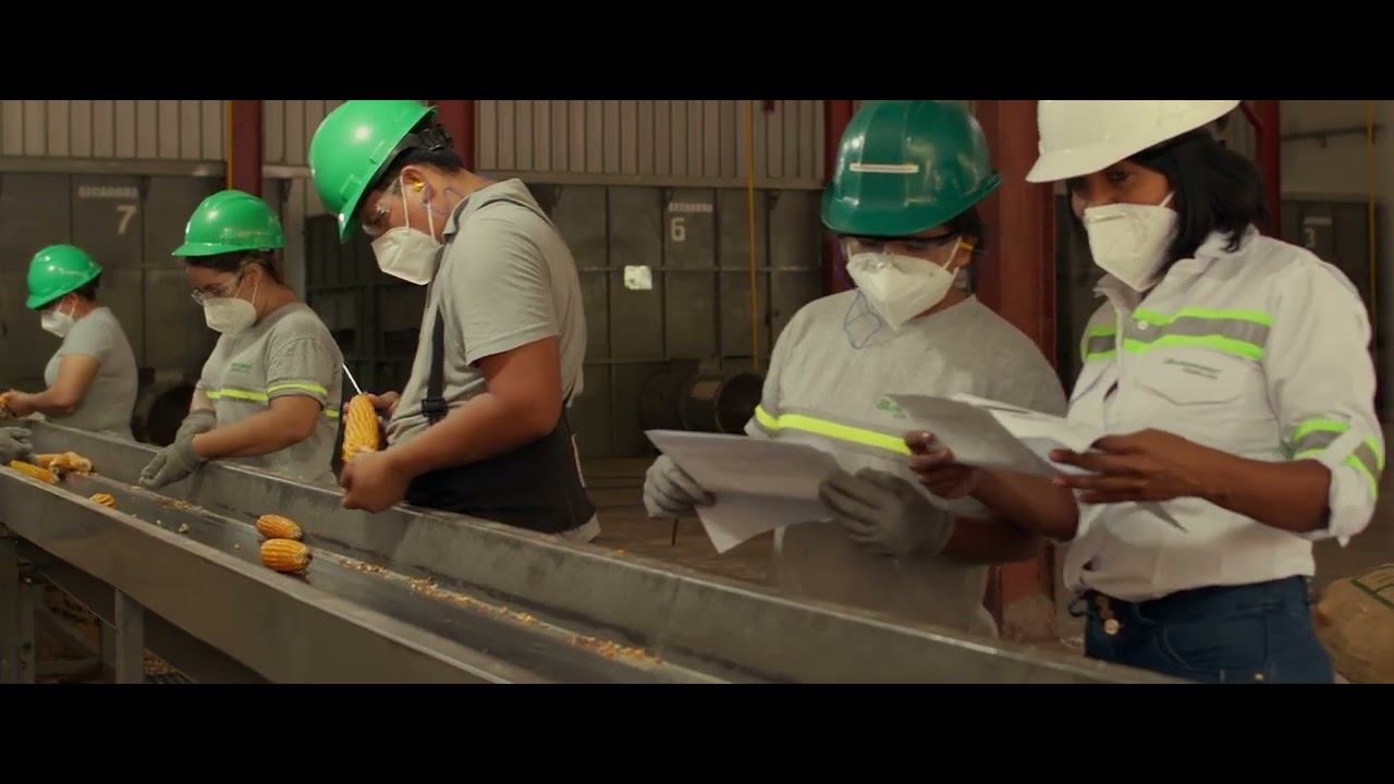 DISAGRO® Semillas, un nuevo origen para tus semillas