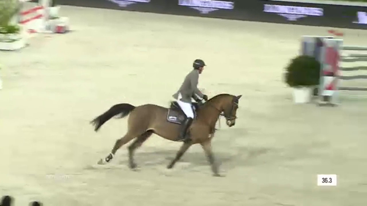Ludger Beerbaum -Cool Down - Paris 150