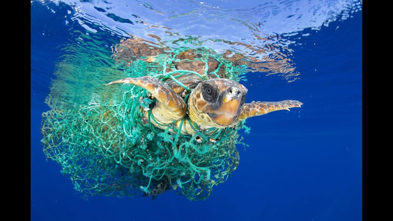 Reportage à Lunel Viel   Une mer de plastique le 28 11 2024
