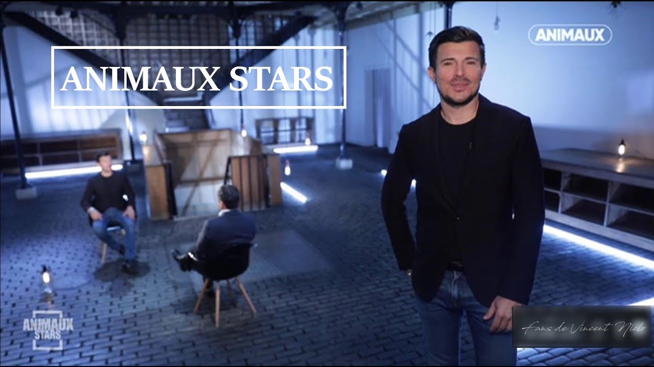 Vincent Niclo - Animaux Stars (05/09/2020)