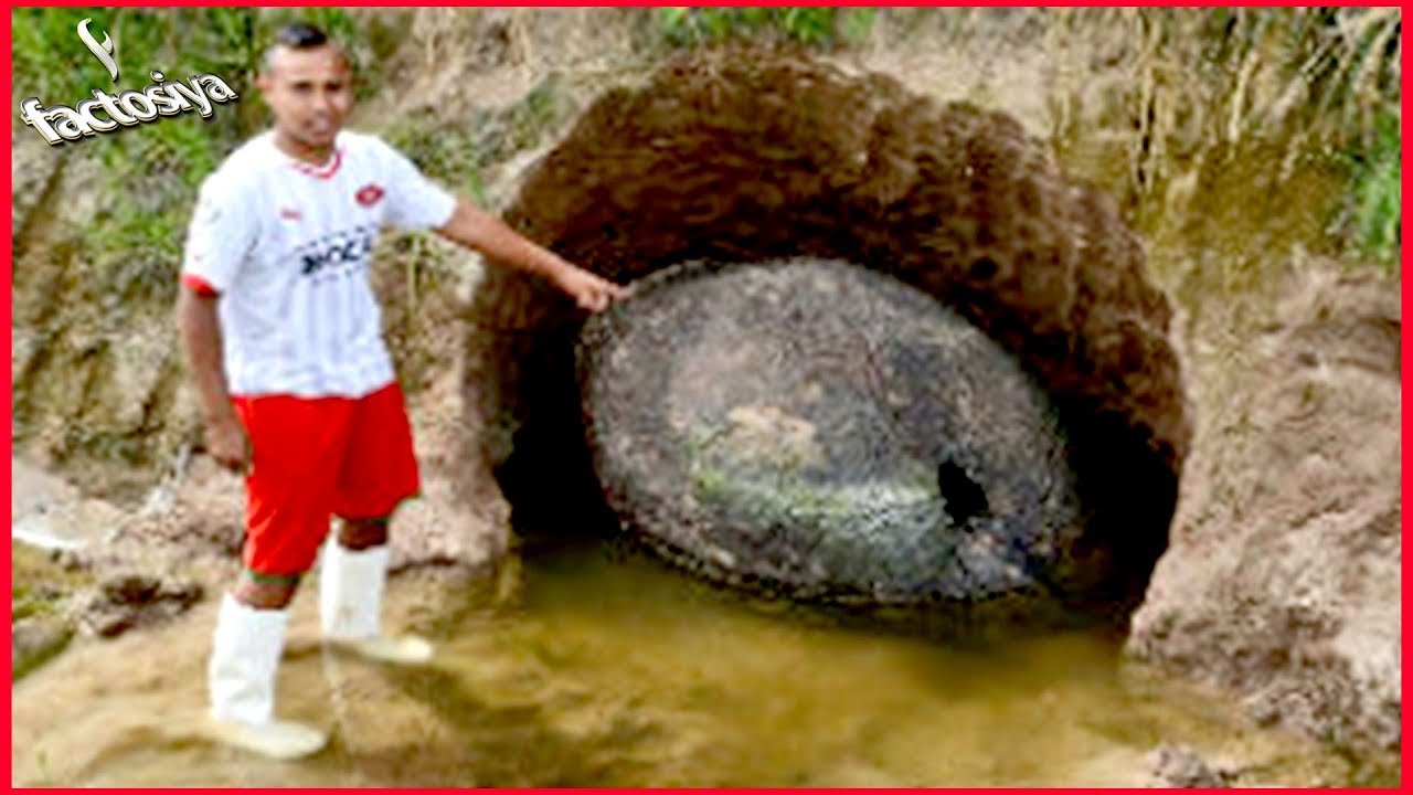 20 Unexpected Treasures People Discovered Right In Their Own Back Yards