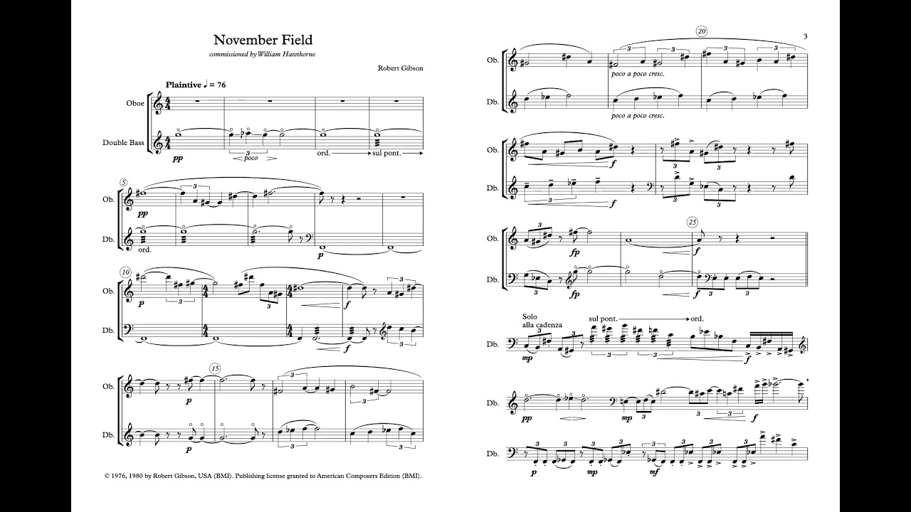 Robert Gibson - November Field (1976) - for oboe and double bass