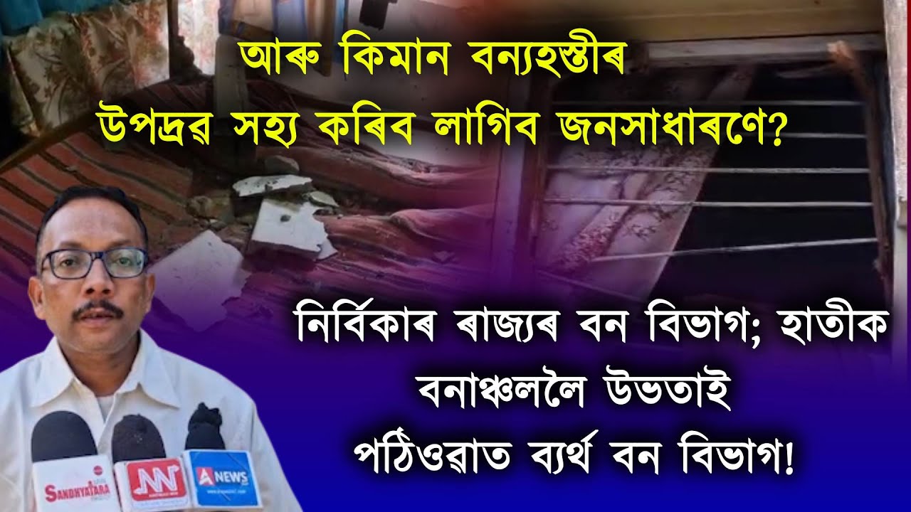 বন‍্যহস্তীৰ উপদ্ৰৱত হাহাকাৰ ৰাইজৰ; জনাঞ্চলত প্ৰবেশ কৰি ৰাইজৰ হাৰাশাস্তি!