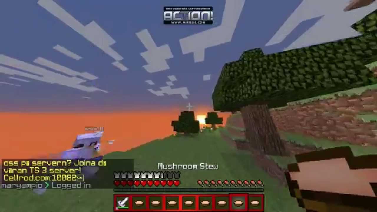 erka10 VS FreePvP