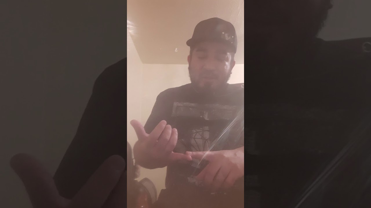 Apbt chico lopez live game dog talk