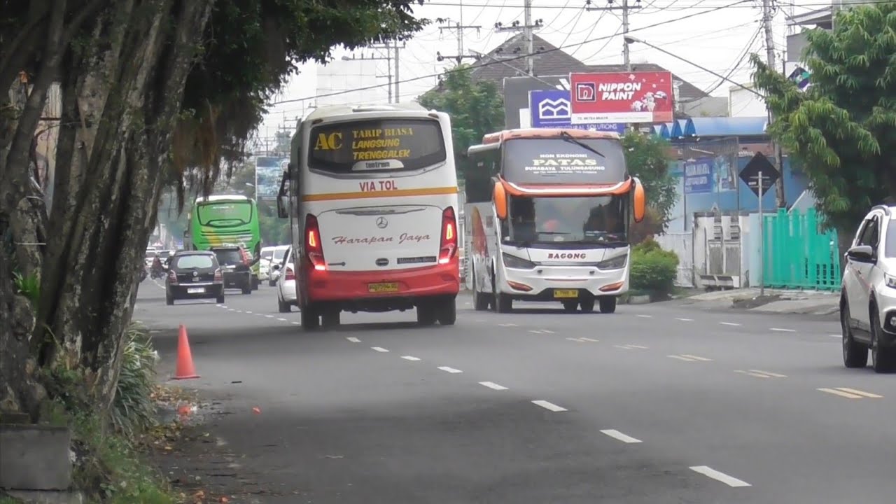 BUS TULUNGAGUNG-AN (HARAPAN JAYA DAN BAGONG) DI SORE HARI 