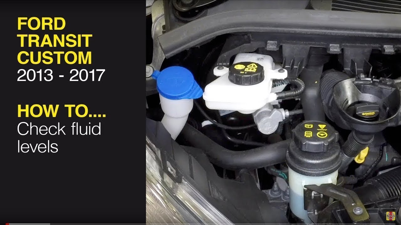 How to check fluid levels on the Ford Transit Custom 2013 - 2017 Diesel