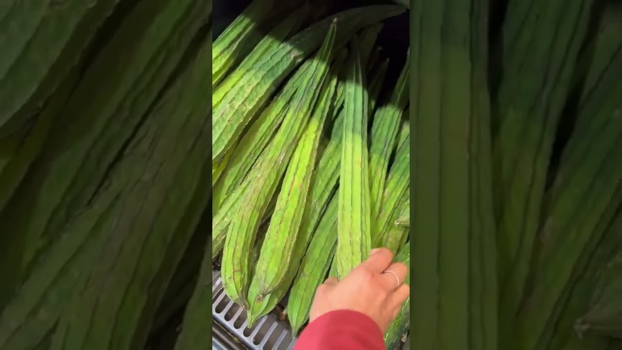 Indian Vegetables Haul #shorts