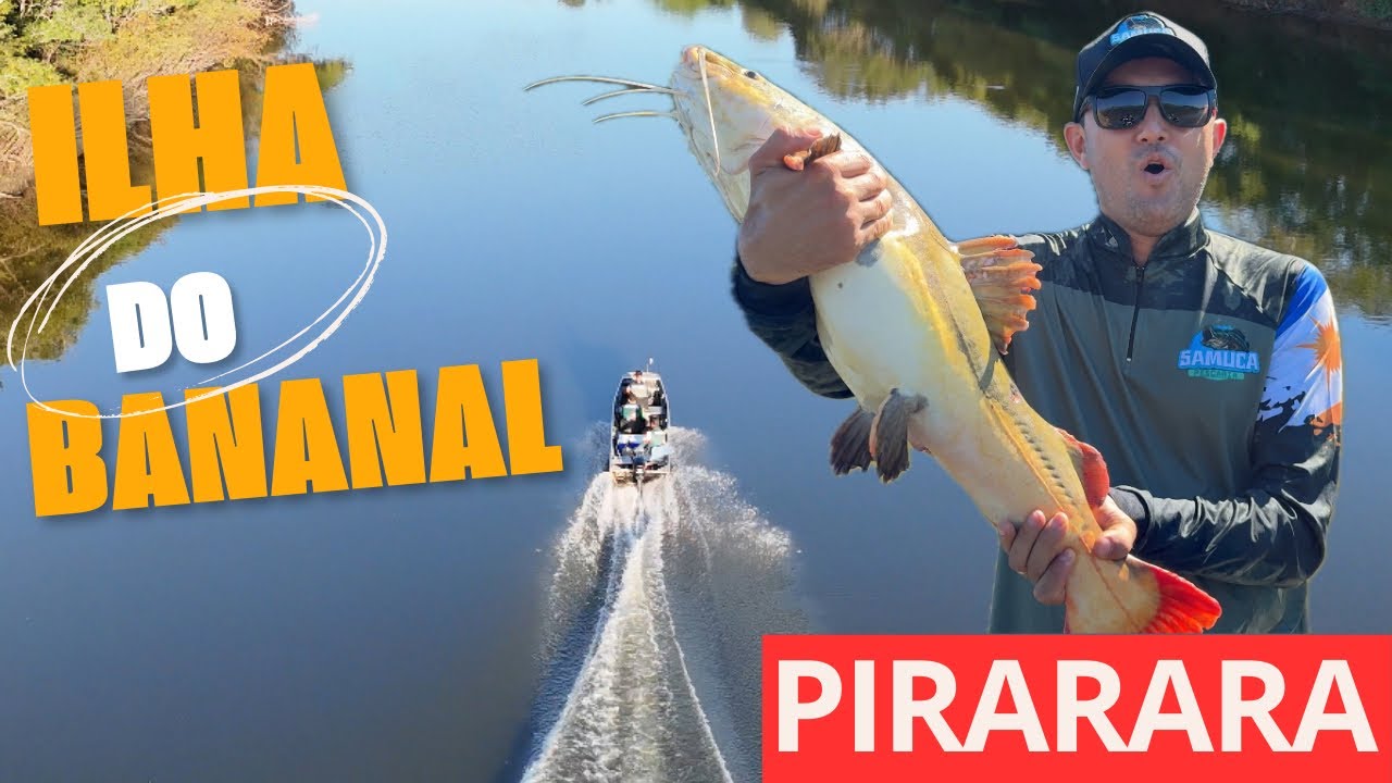 Pirararas Gigantes | Ilha do Bananal TOCANTINS 