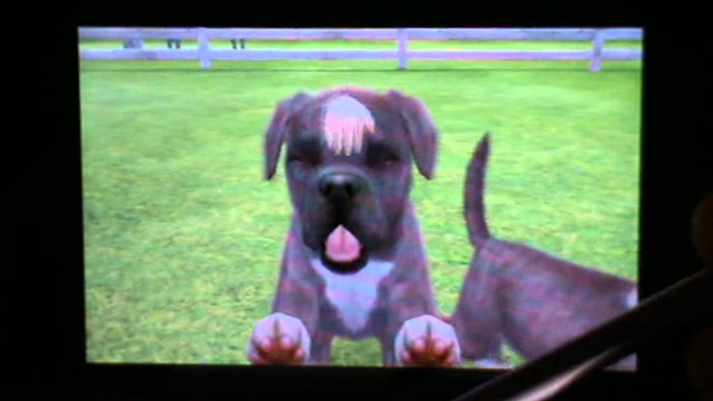 nintendogs + cats special race les boxer