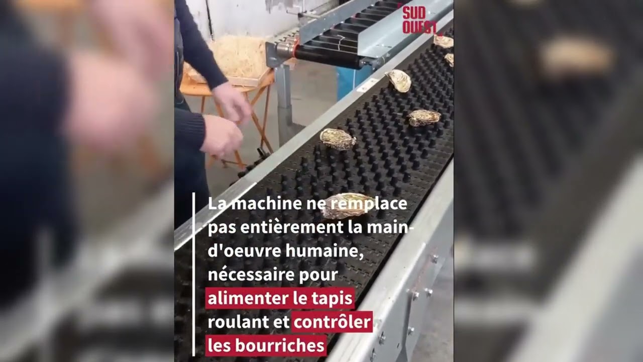 SFERE BM Emballage - Robot Mise en Bourriche Automatique Hu&icirc;tres