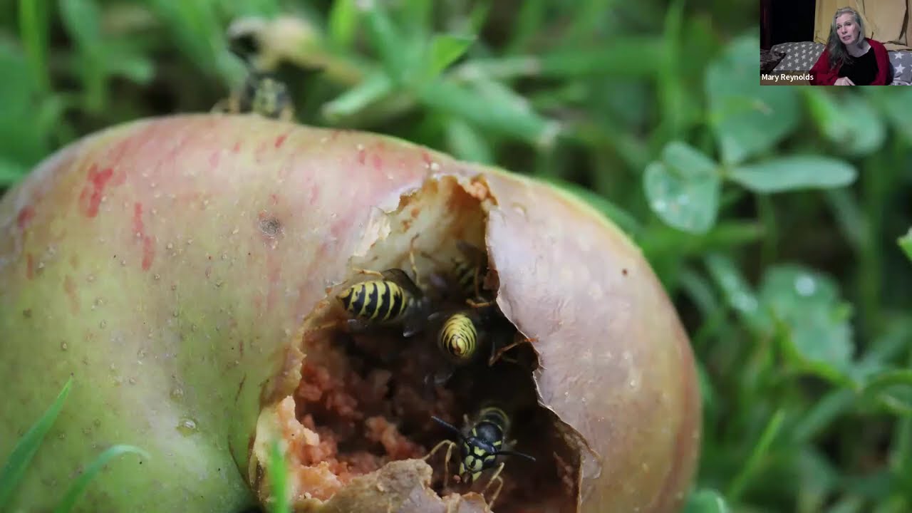 Nature's Recovery Collaborate: 'We are the ARK'
