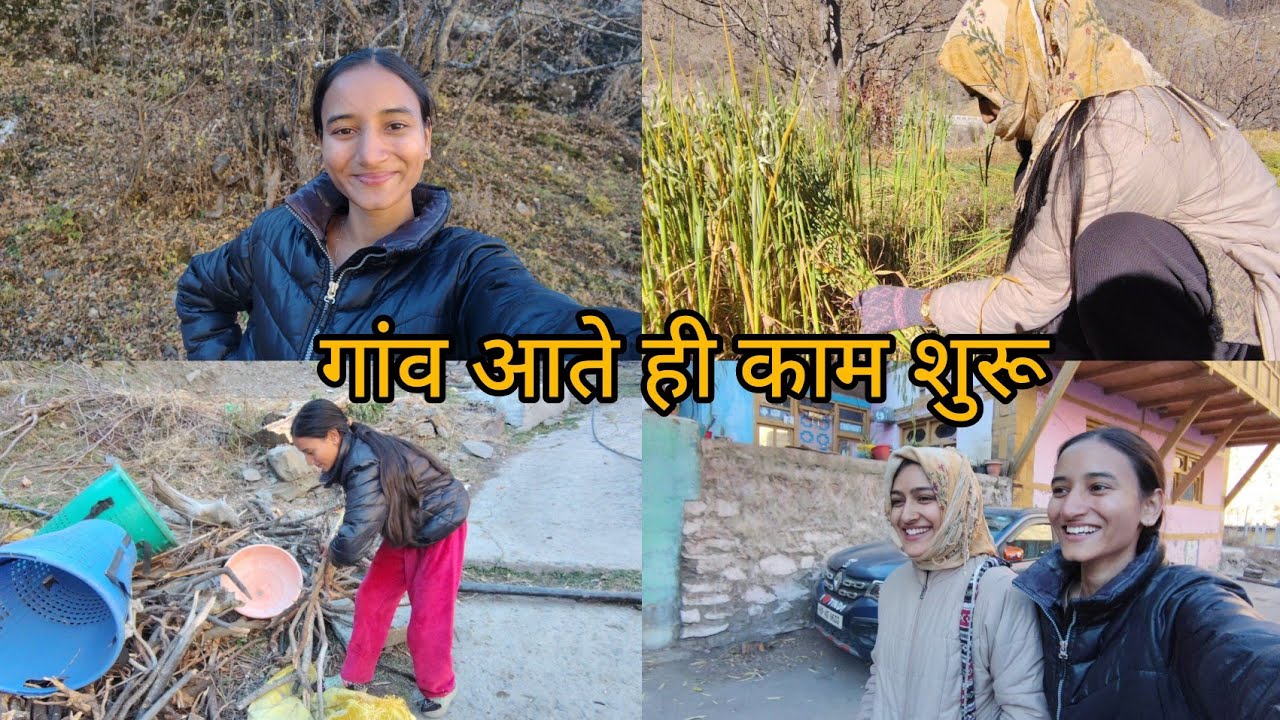 My day routine in village || village dairies || Lahoul spiti #vlog #villagelife #lahoulspiti 