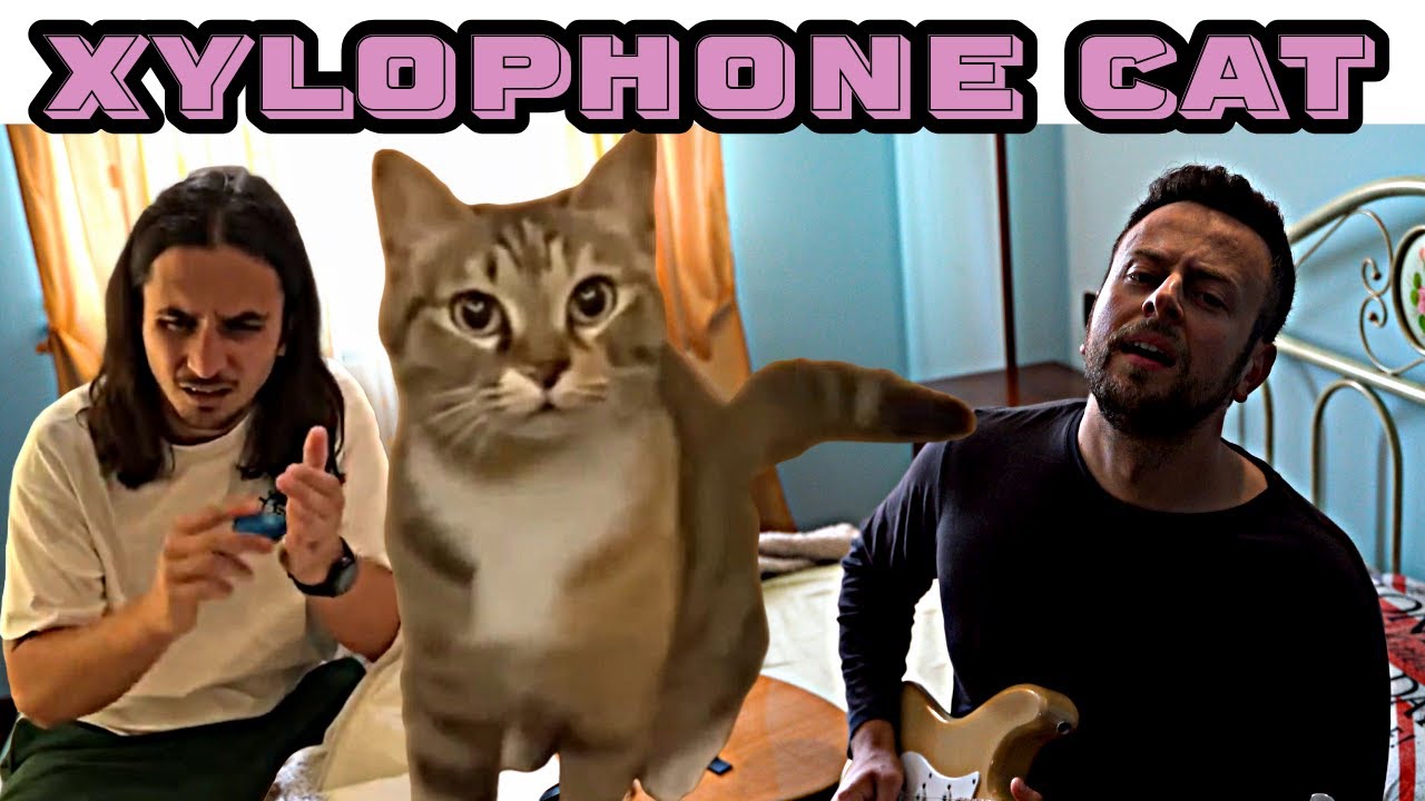 The Kiffness x Spaul - Xylophone Cat (Singing Cat Collab)