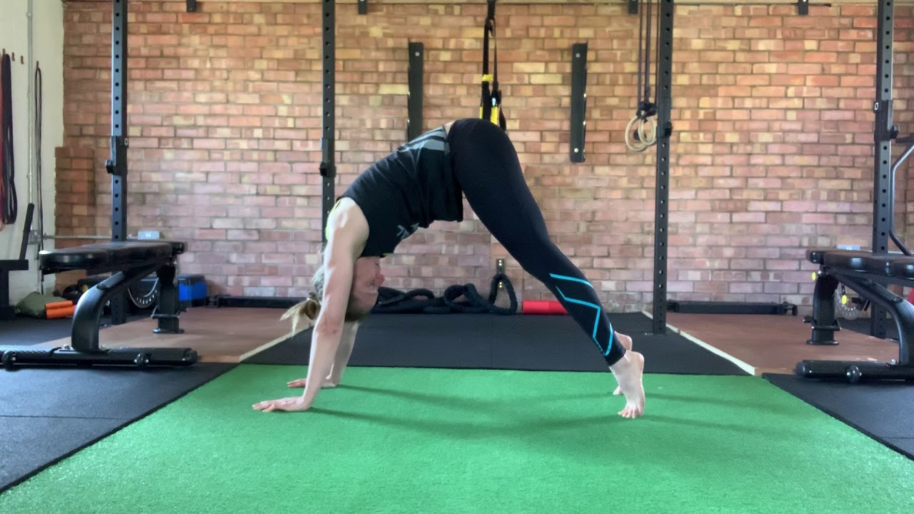 Animal Flow: Movement Recap Session