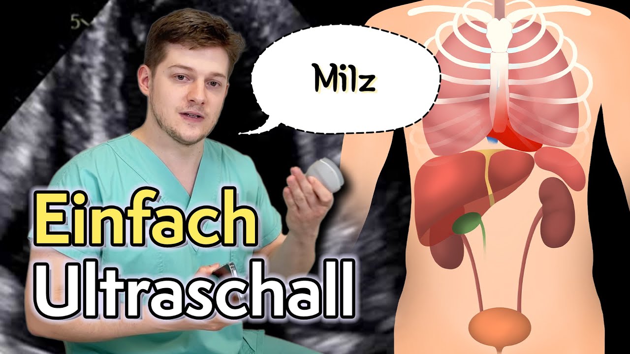 〖Ultraschall〗 Milz & Pleuraerguss 🫁