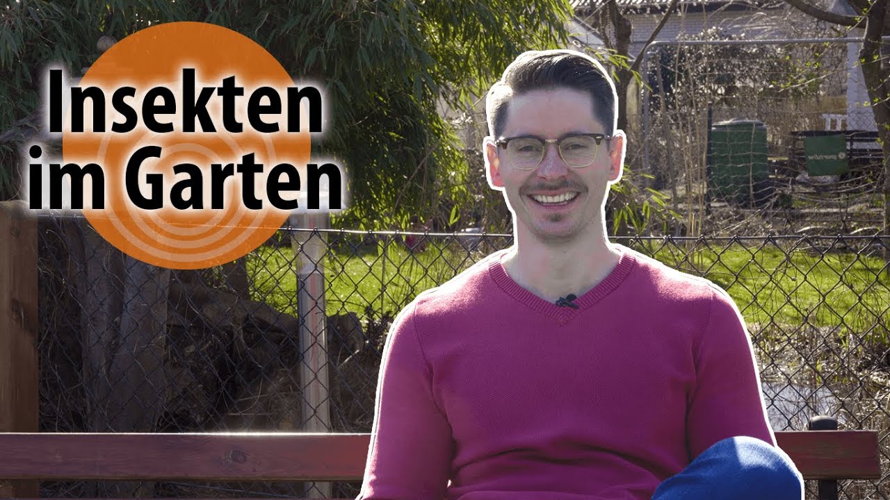 Wie bekomme ich Insekten in den Garten | dobar-smart | Insektenhotels richtig Aufstellen