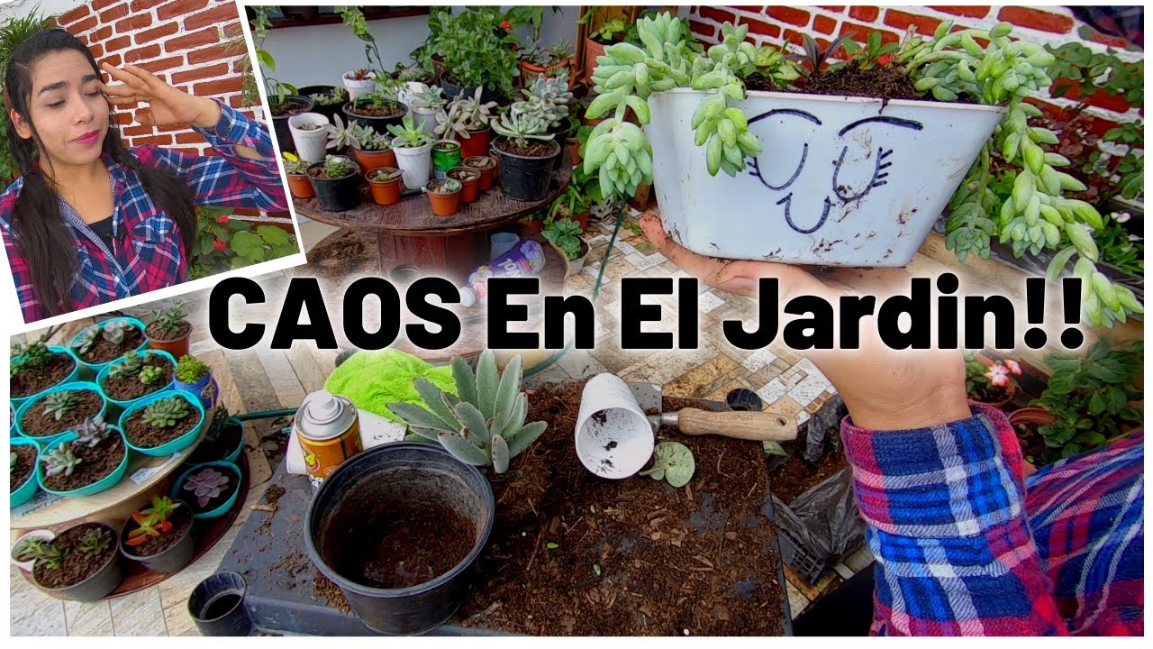 Combatiendo Plagas, Podando, Trasplantando Y Mucho Trabajo, Motivarte A Trabajar En El Jardín