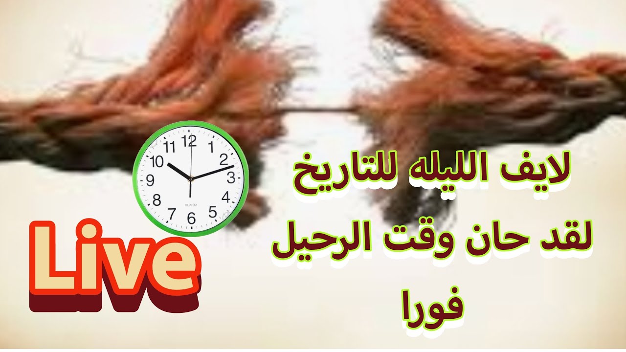 متى تقول لقد حان وقت الرحيل عن النرجسين فورا و بلا تردد
