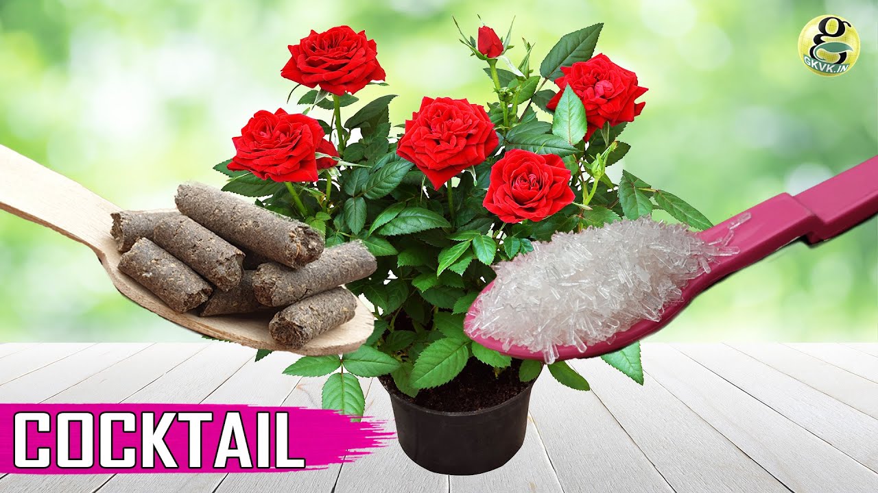 ЛУЧШЕЕ В МИРЕ УДОБРЕНИЕ ДЛЯ РАСТЕНИЙ | Органическая смесь удобрений своими руками с NPK 22-25-07