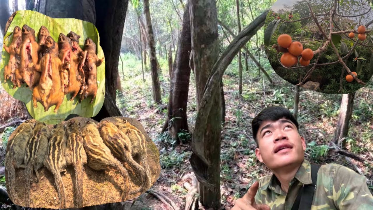 เข้าป่าแต่เช้า ยิงนกกินหมากไฮ//ເຂົ້າປ່າແຕ່ເຊົ້າຍິງນົກກິນຫມາກໄຮ
