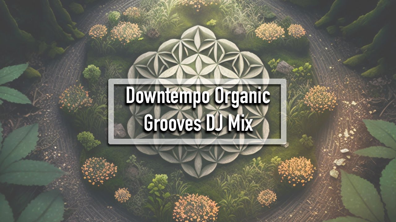 Downtempo Organic Grooves DJ Mix | Chill Music | Electronica