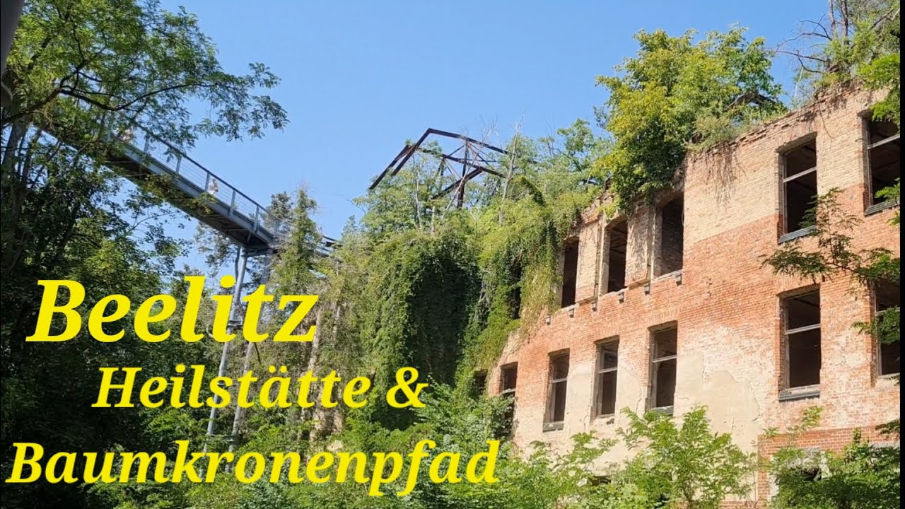 Beelitz Heilstätten und Baumkronenpfad Baum & Zeit